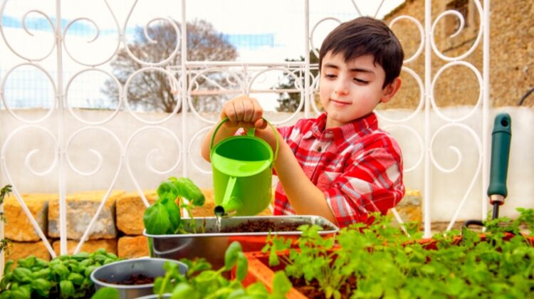 Child Watering Plants